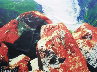 智邦集團紅色之旅第二季旗勝隊活動報道